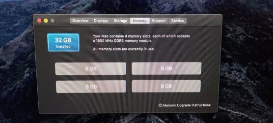 RAM-1.jpg