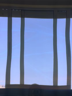 IMG_2560.jpeg