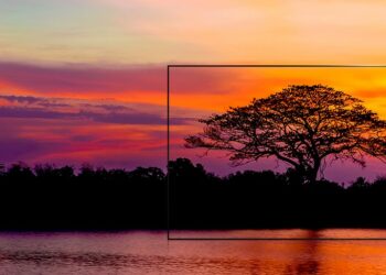 Primeros pasos con tu OLED: esto es lo que debes hacer en tu nueva Smart TV