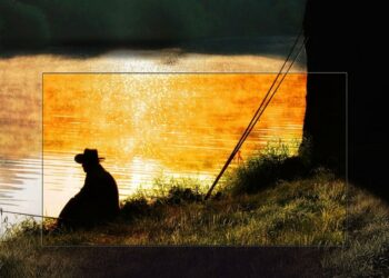 Análisis LG C8, la OLED todoterreno de 2018