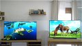 Comparativa Sony A90J vs LG OLED C1: ¿cuál es la mejor Smart TV OLED?