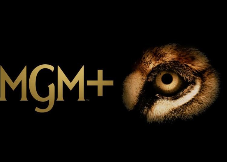MGM+ International