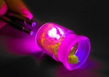 La próxima revolución en televisores OLED ha llegado: los fosforescentes azules serán una realidad en 2025