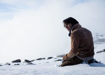 Las 3 películas preseleccionadas para los Premios Oscar 2024, ¿Cuál es su trama?