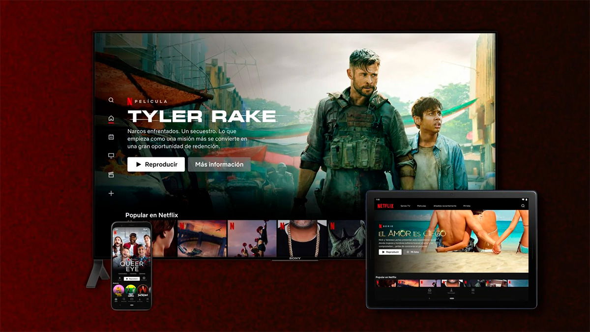 Cómo descargar películas y series de Netflix en tu Android TV