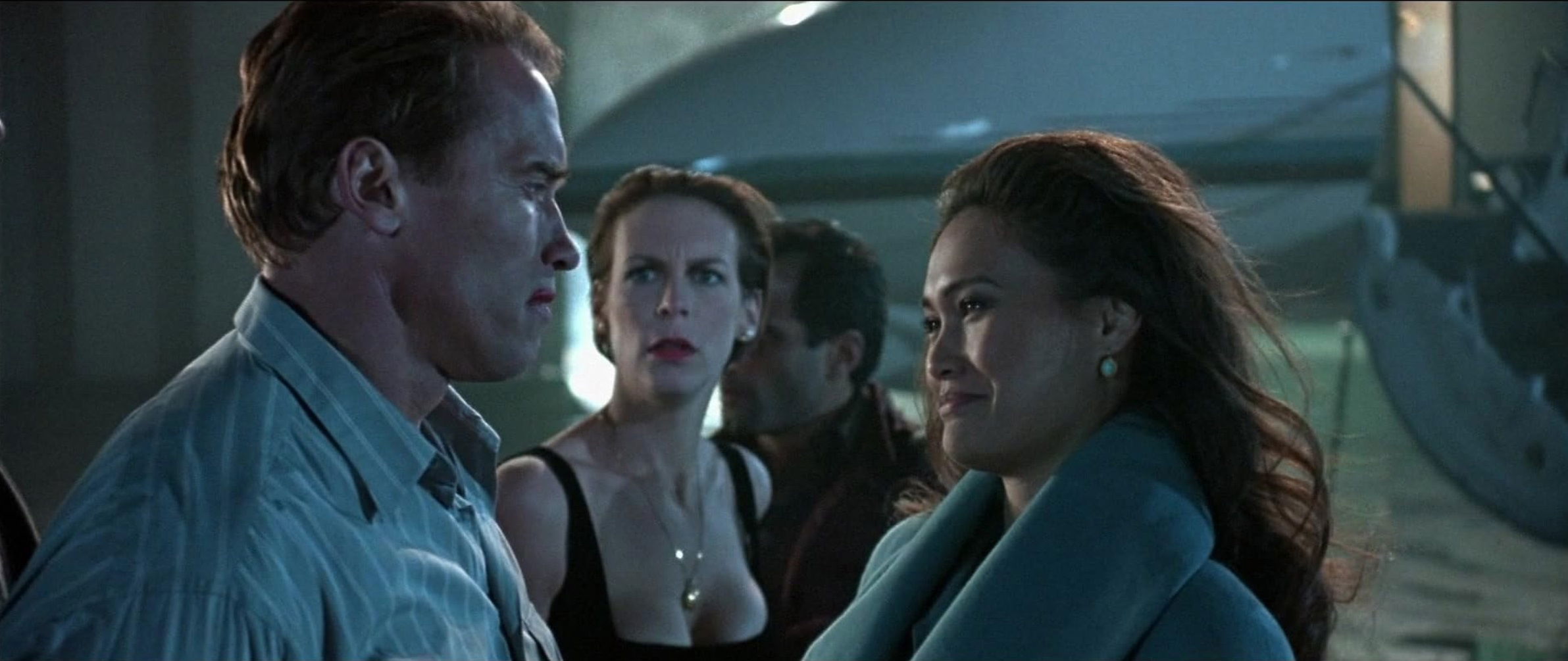 Mentiras arriesgadas true lies