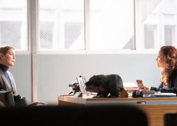 Disney+ viene fuerte en julio con 7 nuevas series