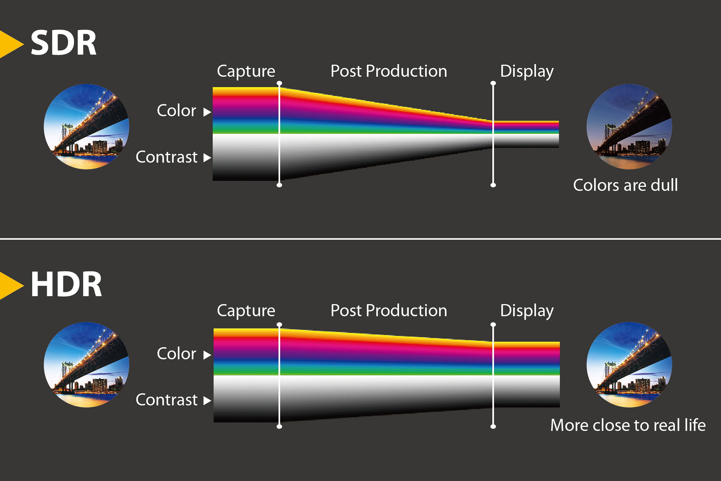 La influencia de los metadatos dinámicos en la visualización de contenido HDR