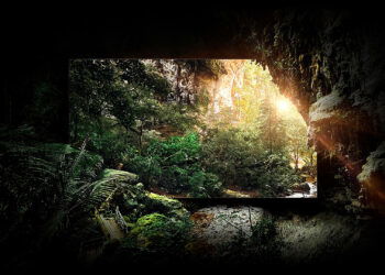 Samsung está desarrollando sus propios televisores OLED Tandem con tecnología TADF y PhOLED