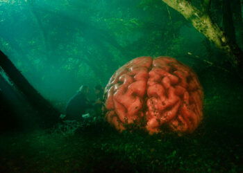 Rumours, la delirante comedia con Cate Blanchett que mezcla políticos y seres extraños, ya tiene tráiler