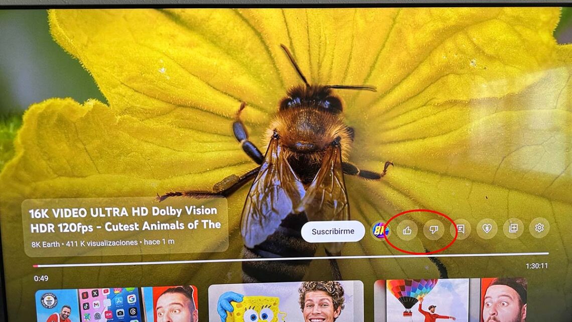 YouTube actualiza la interfaz de su app en Android TV para hacer más ...