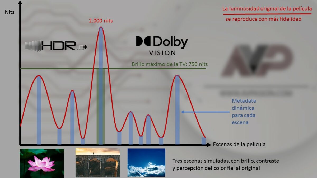 HDR, metadata dinamica