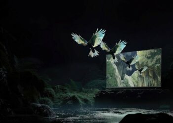 El Día Sin IVA deja el Xiaomi TV S Mini LED de 55 pulgadas a un precio irresistible