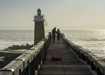 Movistar Plus+ acoge un curioso drama basado en un best seller de una reconocida escritora sueca