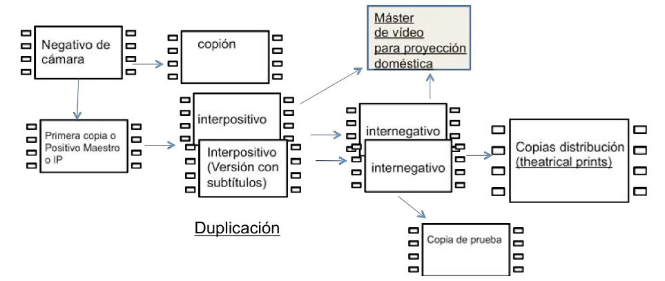 procesos filmicos