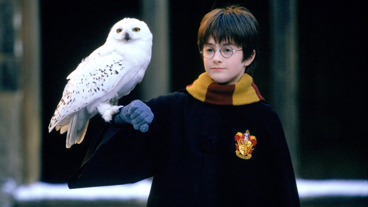 La serie de HBO de Harry Potter ha introducido un cambio importante