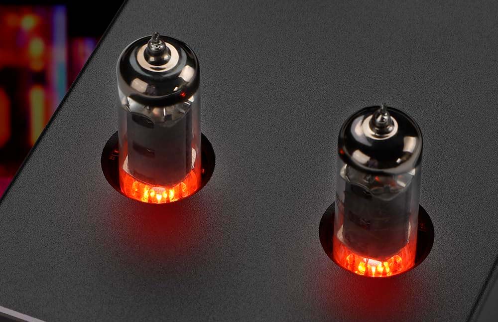 Válvulas del AIYIMA T5 V2.0