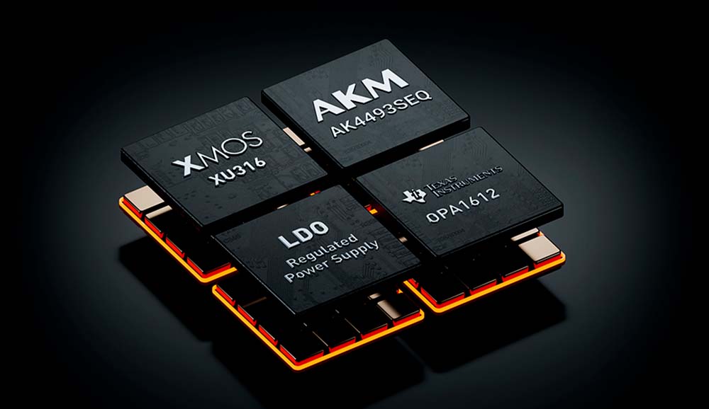 Chips del Fosi Audio ZH3