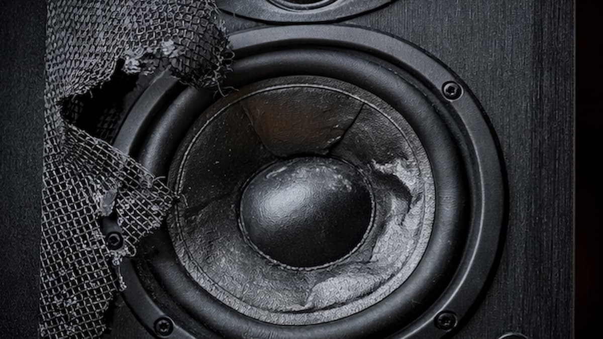 ¿Mi altavoz está dañado? Estas son algunas señales claras de que algo no va bien