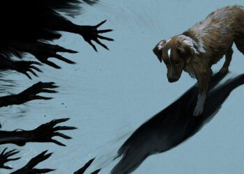 Good Boy se estrena en streaming: la primera película de terror contada desde el punto de vista de un perro