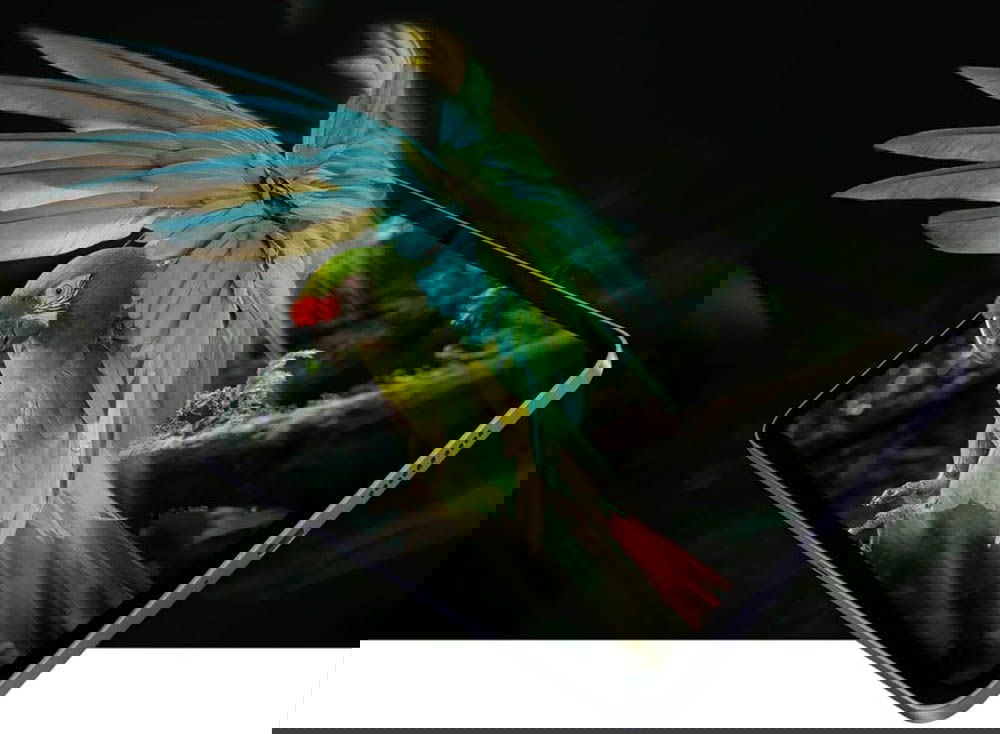 Pantalla del Xiaomi Pad Mini