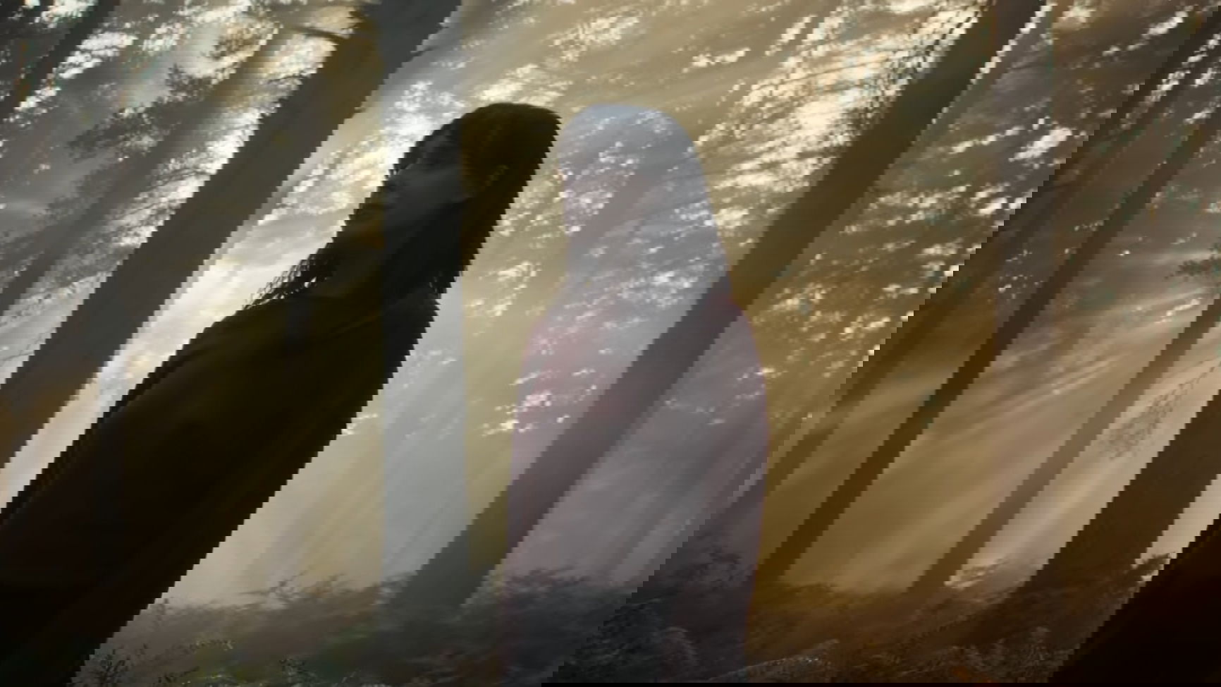 Cortafuego: una desaparición, un incendio y grandes dosis de suspense