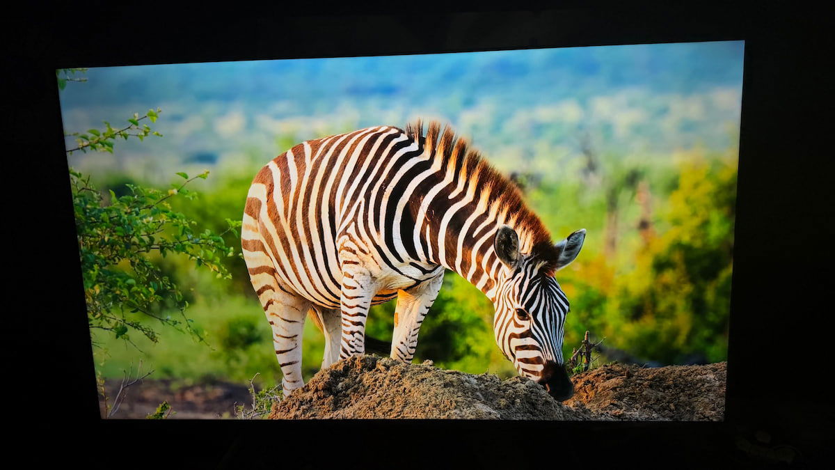 Xiaomi TV F Pro de 75 pulgadas, análisis: un televisor enorme que me ha sorprendido más de lo que esperaba