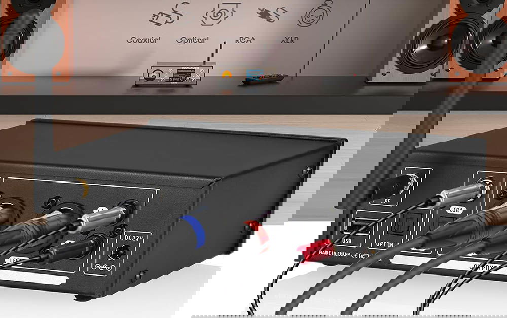 Conexiones del Douk Audio C100 PRO