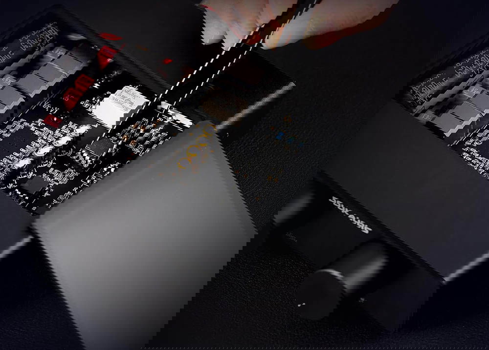 Interior del Douk Audio A5 TPA3255