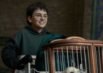 El tráiler de Harry Potter divide a los fans: las comparaciones con las películas son odiosas