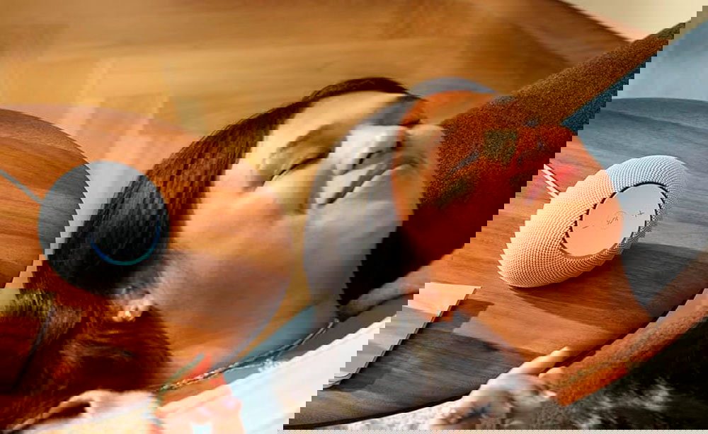 Chica con el Amazon Echo Dot Max