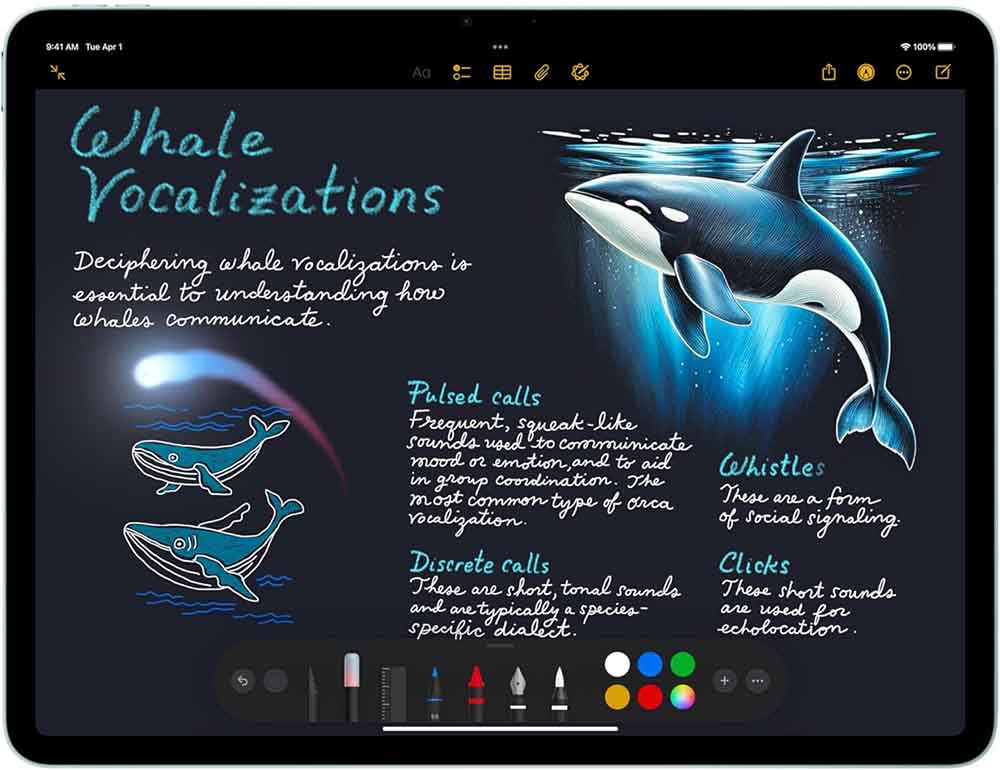 Pantalla del iPad Air (2025)