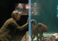 Una viuda y un pulpo protagonizan la película más extraña y hermosa que está arrasando en Netflix