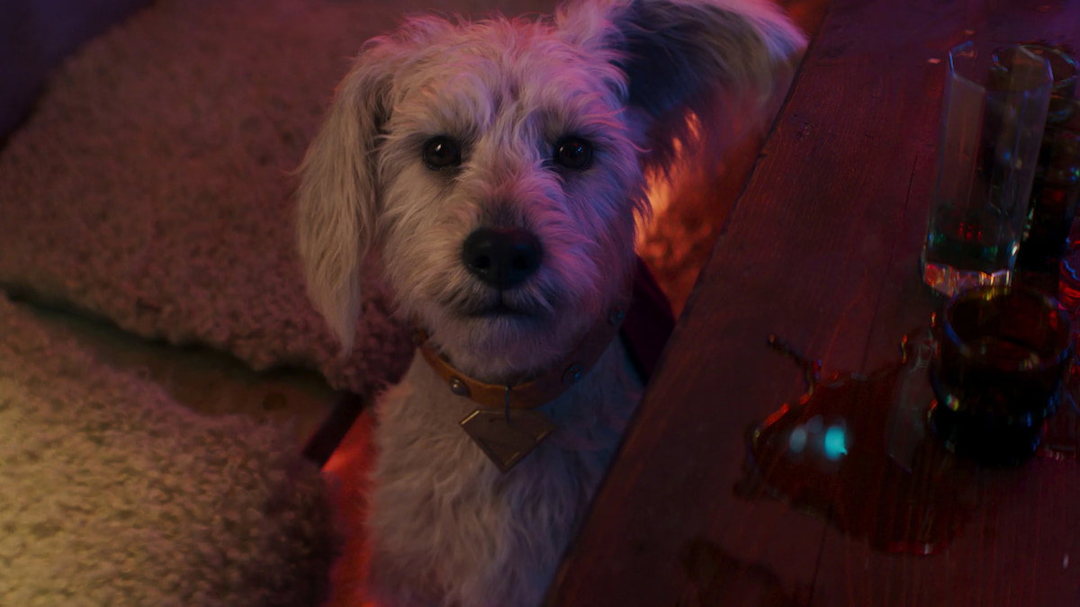 El peor guion que recuerdo: Supergirl no consigue convencer a la crítica y recibe valoraciones destructivas