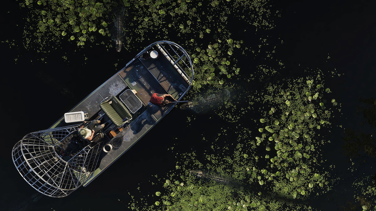 Pantanos en GTA 6 (Rockstar Games)